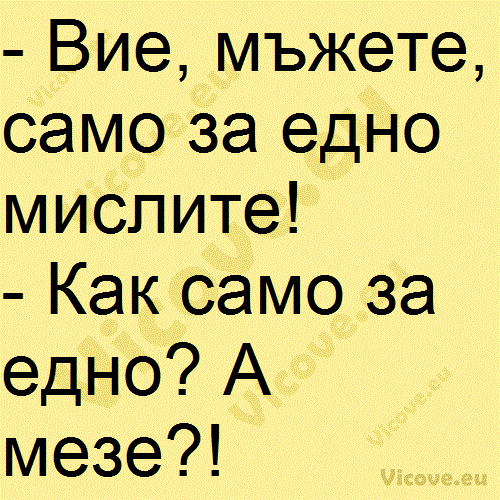 Вие, мъжете, само за едно мислите