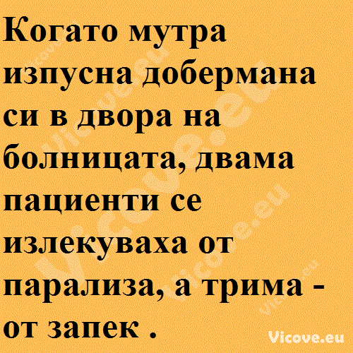 Когато мутра изпусна добермана си в двора на болницата