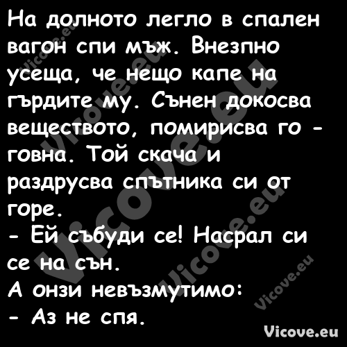 На долното легло в спален вагон...