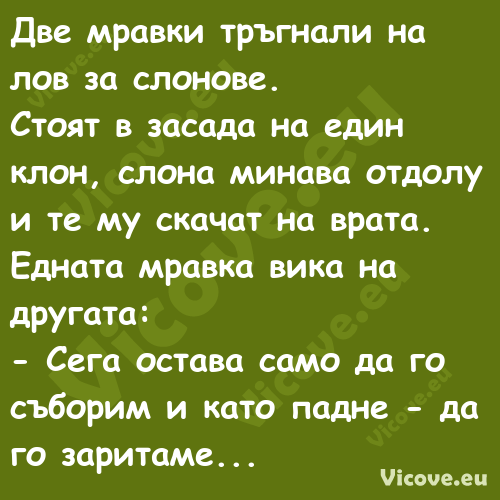 Две мравки тръгнали на лов за с...