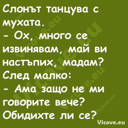 Слонът танцува с мухата. О...