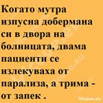 Когато мутра изпусна добермана си в двора на болницата