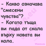  Какво означава "смесени чувст...