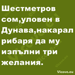 Шестметров сом, уловен в Дунава