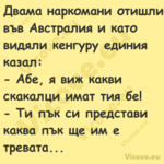 Двама наркомани отишли във Авст...