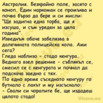 Австралия. Безкрайно поле, зася...